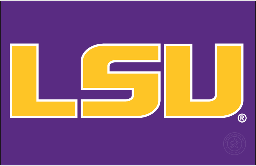LSU Tigers 2014-Pres Alt on Dark Logo diy iron on heat transfer